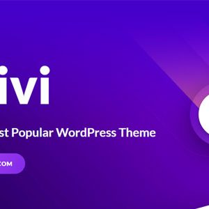 Divi – The Ultimate WordPress Theme & Visual Page Builder Download